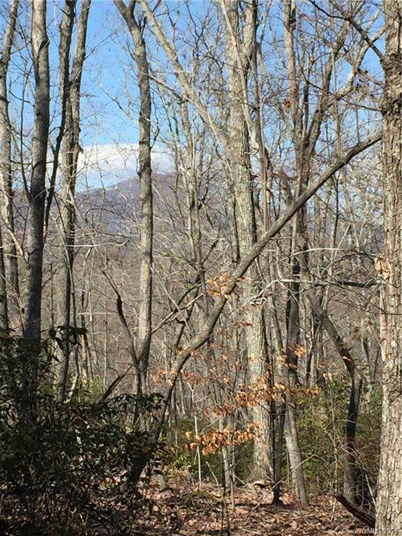 0 Hunting Country Road - Photo 1