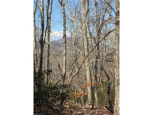 0 Hunting Country Road - Photo 1