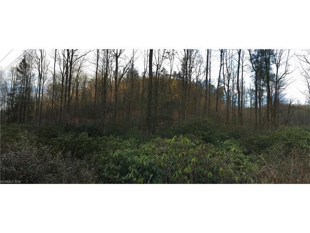 TBD Frozen Creek Road - Photo 1
