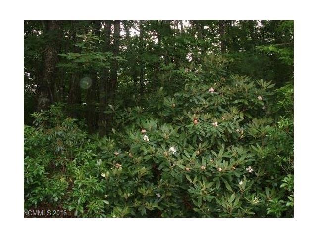 0035 Turkey Run Road - Photo 1