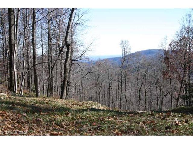 21 High Cliffs Trail - Photo 1