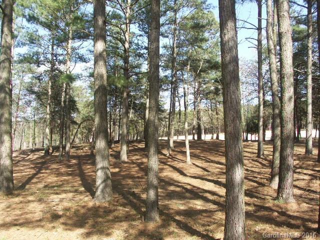 153 Yadkin Falls Road - Photo 1