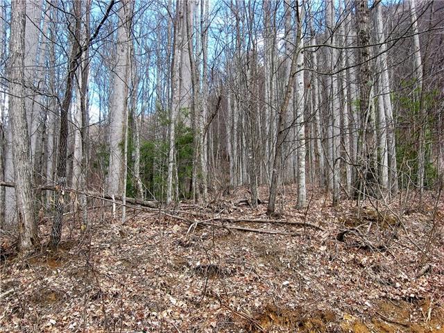000 Emerald Lane - Photo 1