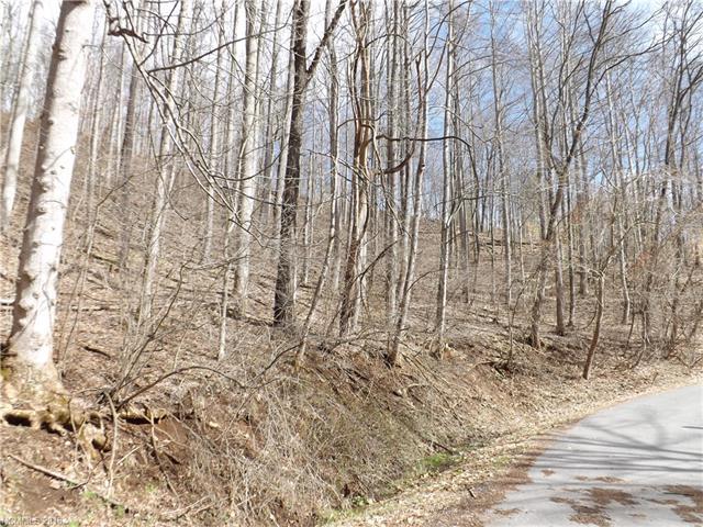 0 Cicada Drive - Photo 1