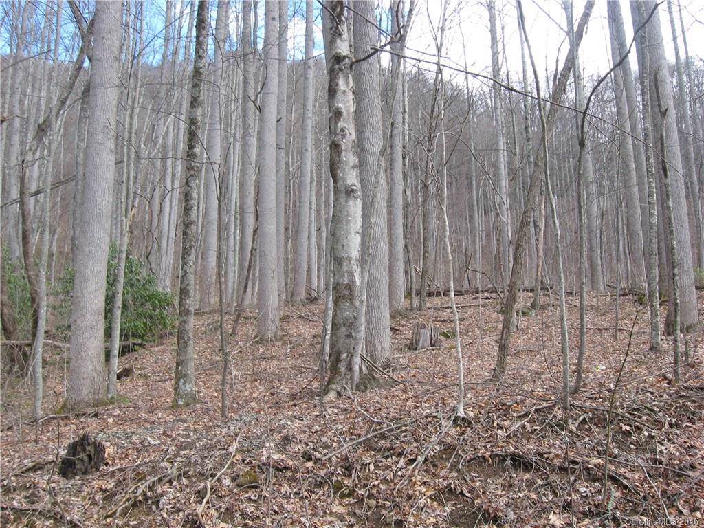 Lot 3 Ogden Road - Photo 1