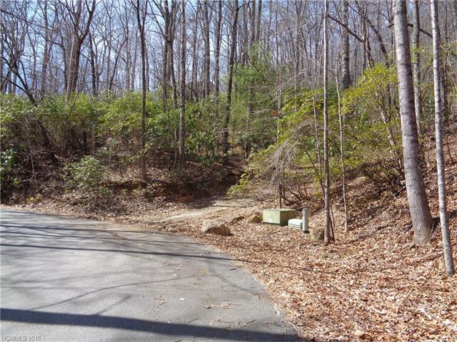 27 Alpen Rose Way - Photo 1