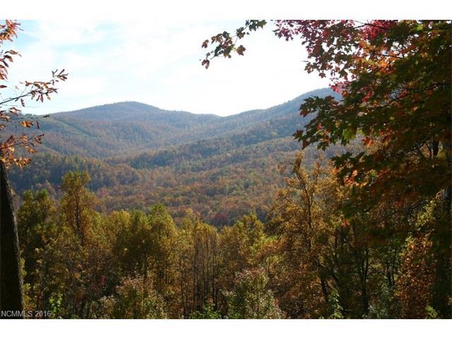20 High Cliffs Trail - Photo 1