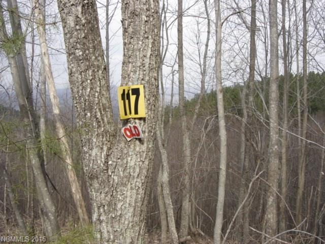 117 Big Rock Road - Photo 1