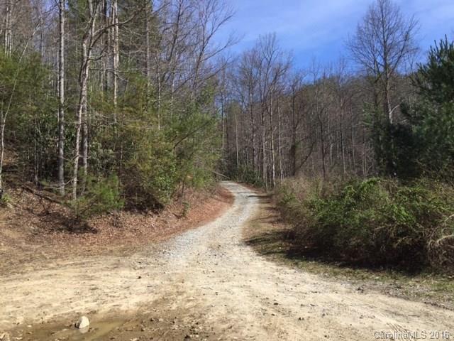 00 Flint Branch Road - Photo 1