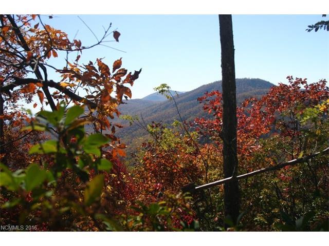 Lot 3 High Cliffs Trail - Photo 1