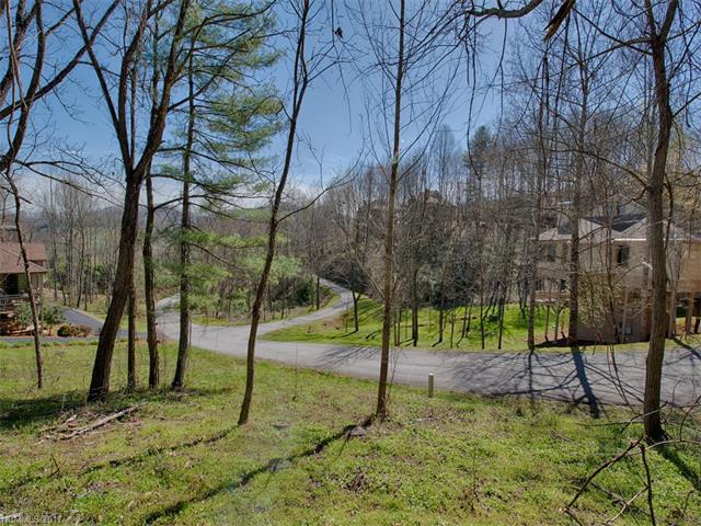 Lot 19 Bob White Loop - Photo 1