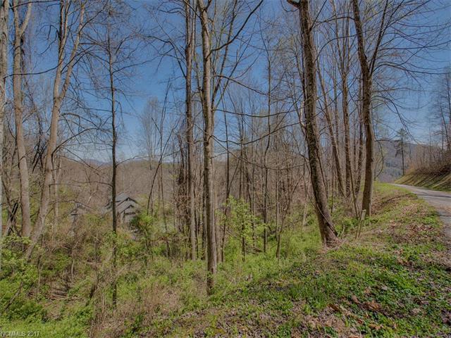 Lot 24 Quail Mountain Lane - Photo 1