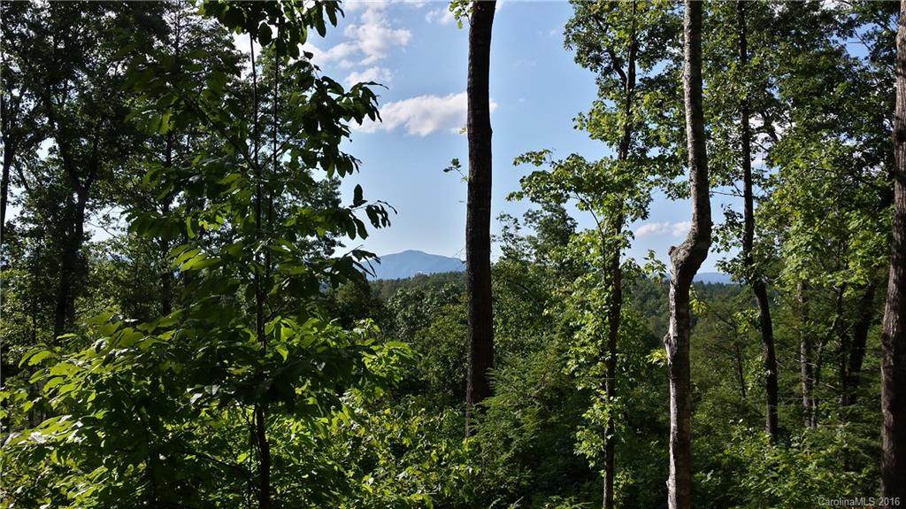 LOT 23 Cross Creek Trail - Photo 1