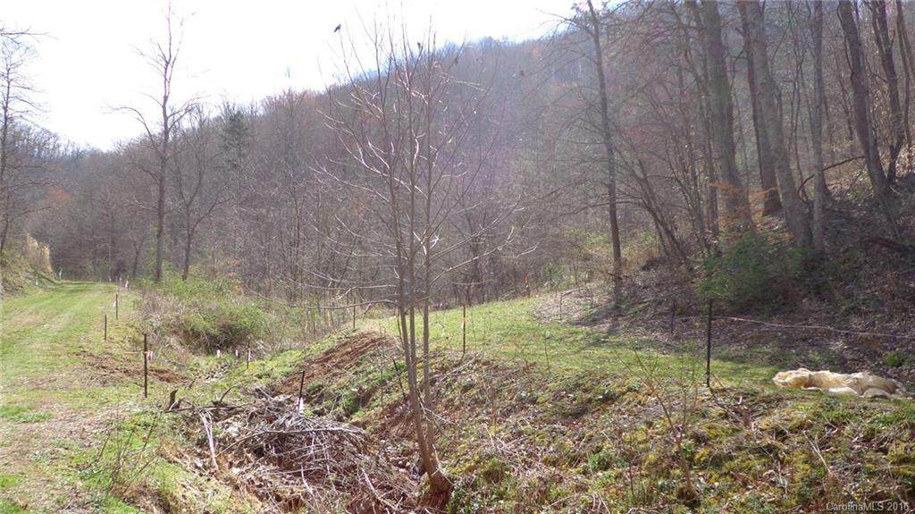 000 Willow Lane - Photo 1