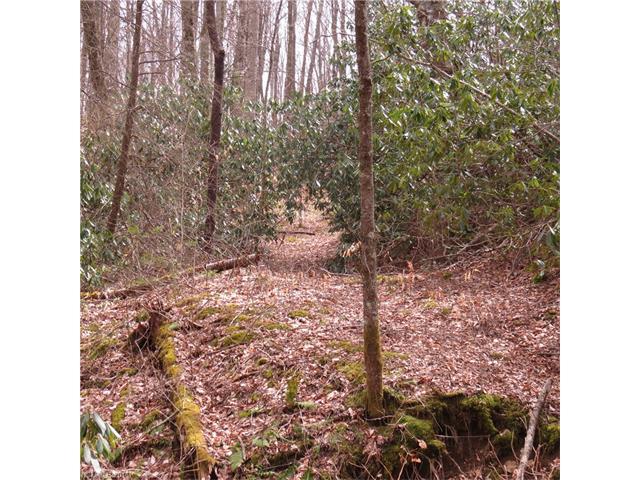 00 Oswego Way - Photo 1