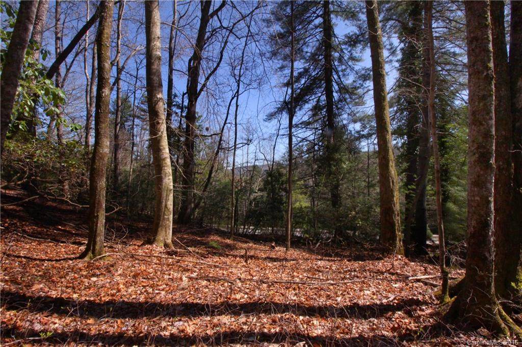 Lot 61 Deerlake Road - Photo 1