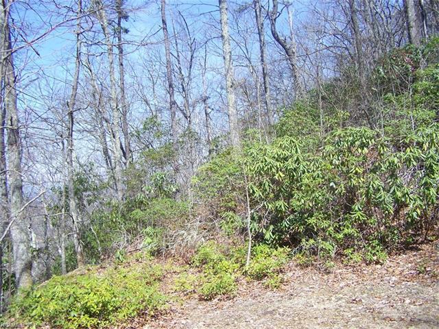 Lot 7 Anglers Ridge - Photo 1