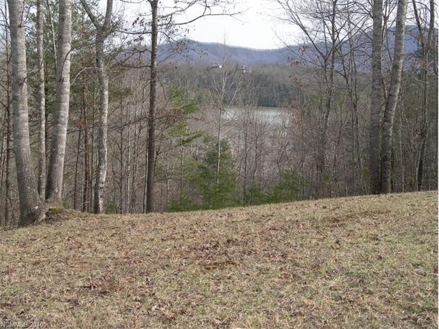 Lot 2 Highland View Lane - Photo 1