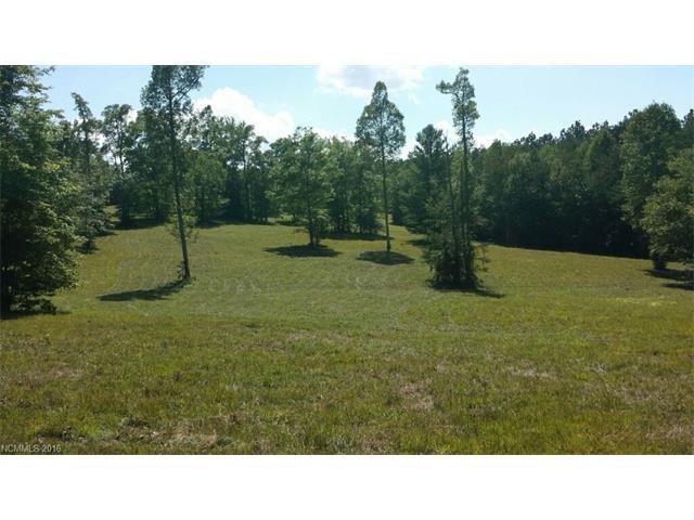 0 Polk County Line Road - Photo 1
