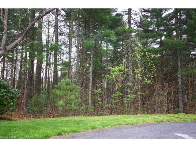 Lot19 Daylily Drive - Photo 1