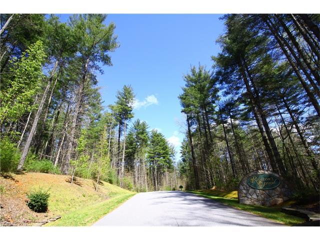 Lot20 Daylily Drive - Photo 1