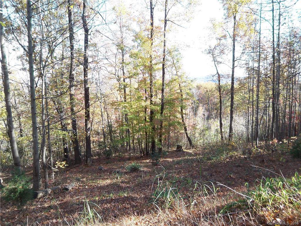 467 Gene Revis Lane - Photo 1