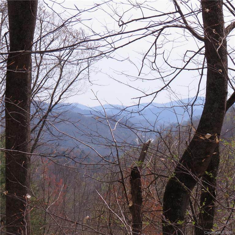 00 Grapevine Cove - Photo 1