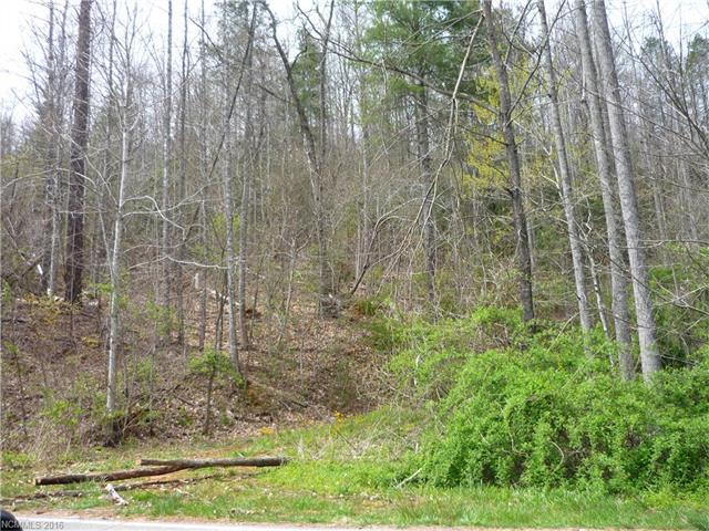 000 Nc Hwy 9 - Photo 1