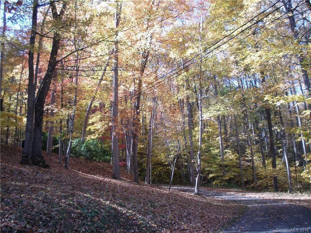 Lot 13 Dogwood Drive - Photo 1