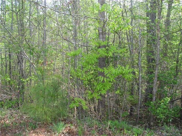 lot 25 Long Cedar Lane - Photo 1