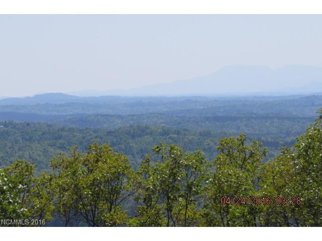 399 Mountain Forest Drive - Photo 1