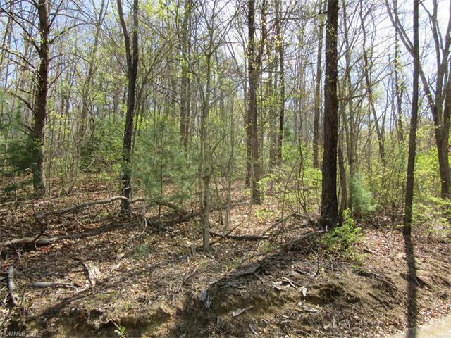 Lot 1 Mary Ruth Way - Photo 1