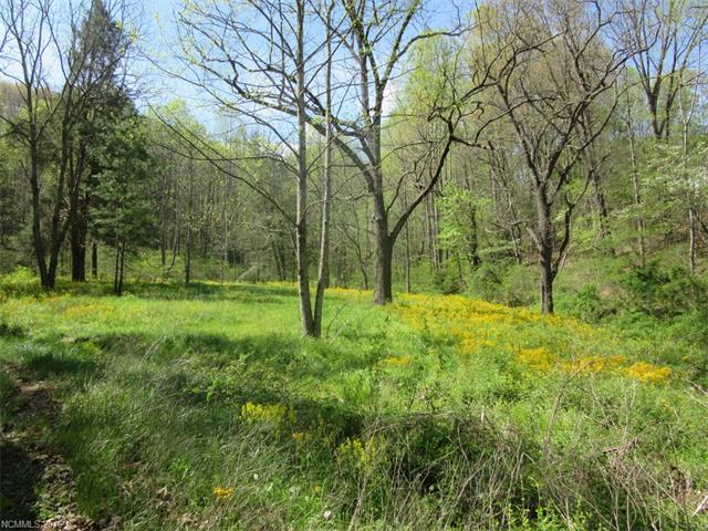Lot 2 Mary Ruth Way - Photo 1