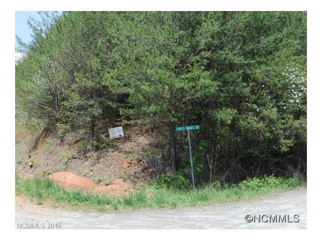 Lot 9A Otter Creek Road - Photo 1
