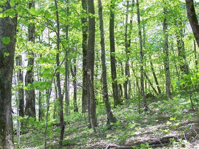 Lot 311 Serenity Mountain Road - Photo 1