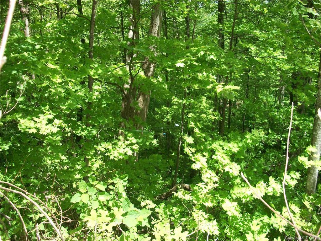 53 Wildcat Run Road - Photo 1