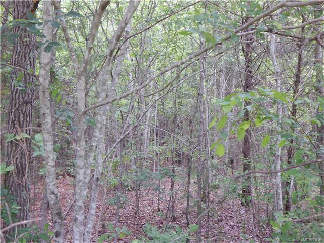 Lot 9 Hwy 24/27 Highway - Photo 1