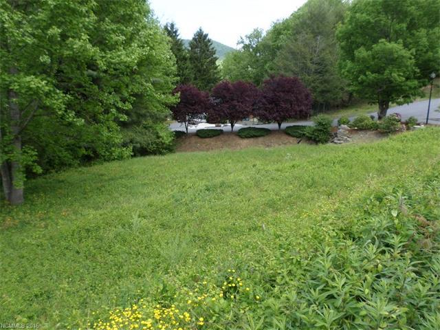 Lot 1 Whippoorwill Way - Photo 1