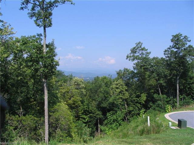 101 Wood Owl Court - Photo 1