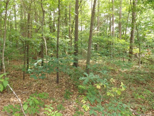00 White Oaks Circle - Photo 1