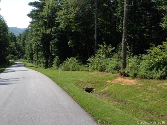 L 46 Mountain Brook Trail - Photo 1