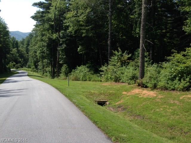 L 46 Mountain Brook Trail - Photo 1