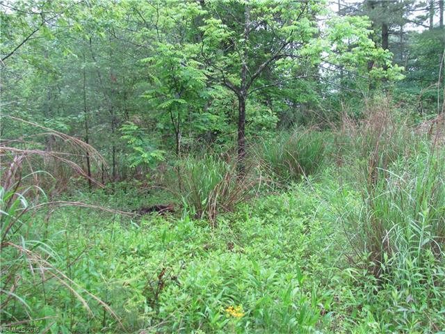 TBD Stanley Lane - Photo 1