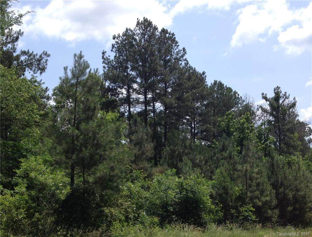 4079 Persimmon Road - Photo 1