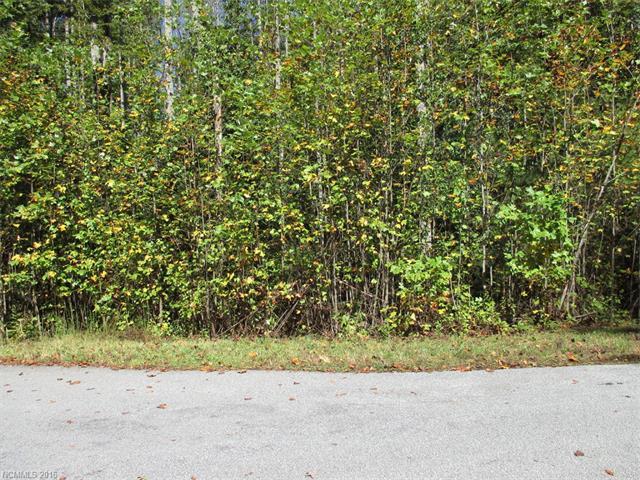 Lot 57 Ridgeview Hill Drive - Photo 1