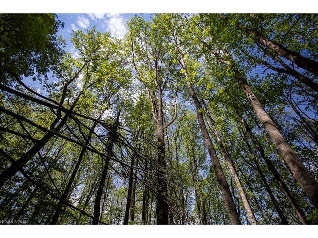000 Alvin Fox Trail - Photo 1