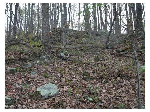 0000 Wesley Creek Road - Photo 1