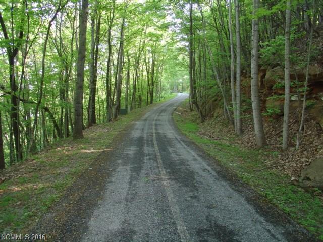 Lot 12 Laurel Drive - Photo 1