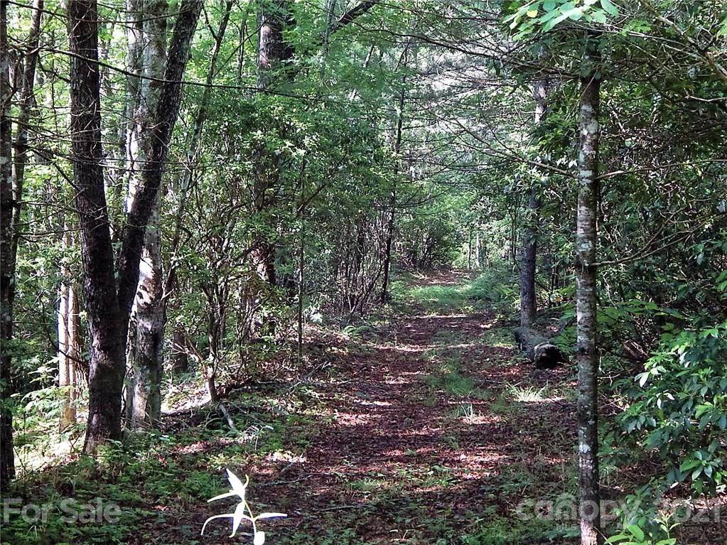 000 Fox Crossing - Photo 1