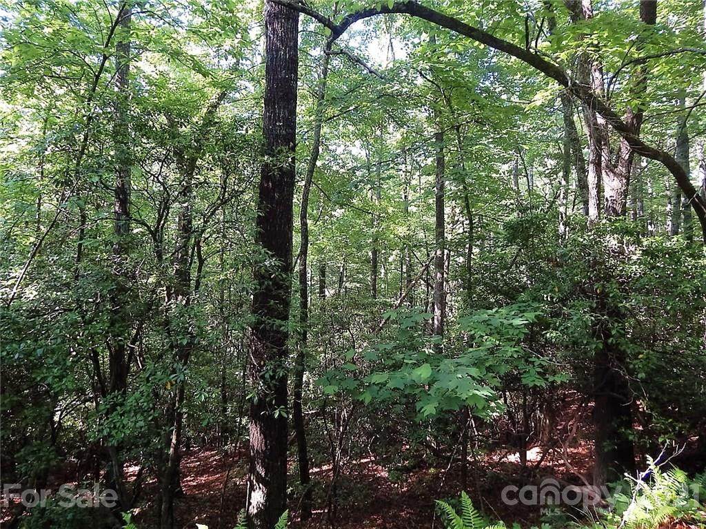 000 Fox Crossing - Photo 1